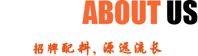 特色小吃加盟項目張成榮電烤雞架誠邀加盟